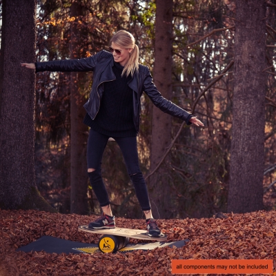 RollerBone 1.0 Pro Set + Covor