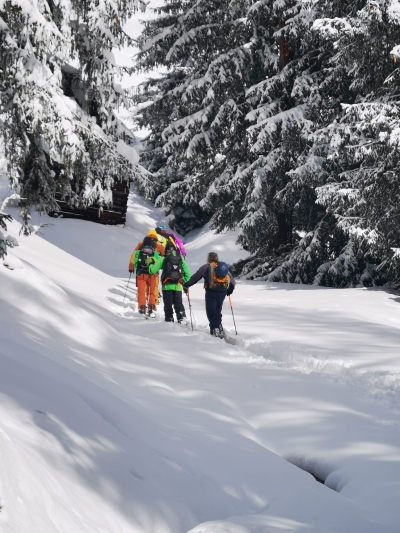 GoodBoards GB Split Nose Rocker 165 W Splitboard