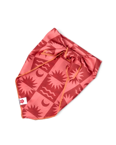 Saltrock Equinox Dog Bandana Orange